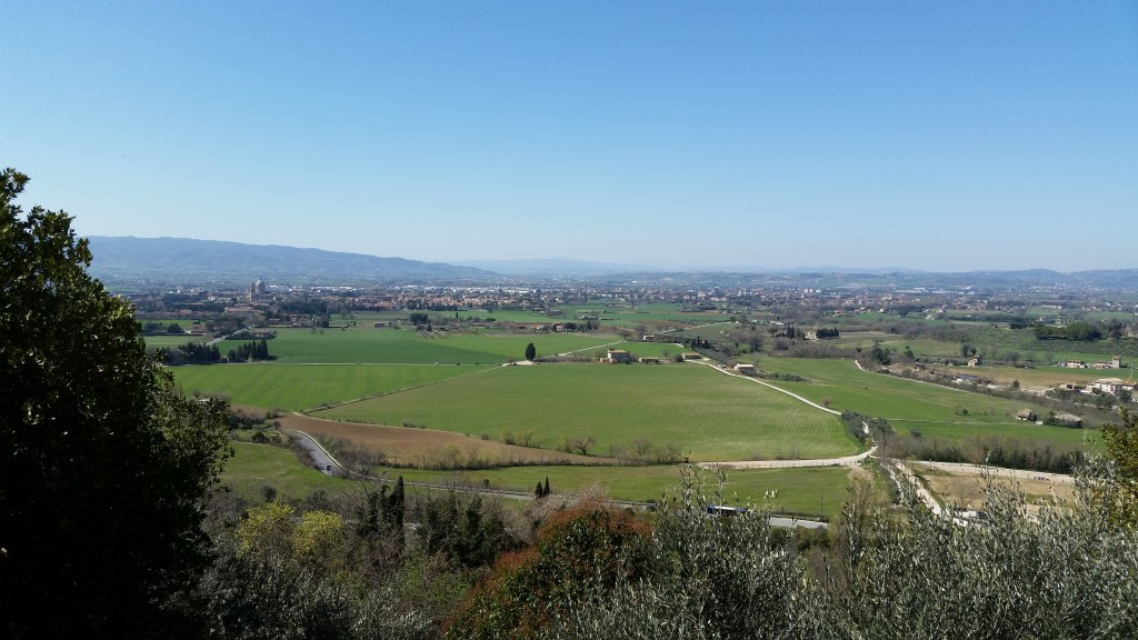 Gospel Reflection – October 4,&nbsp;2024