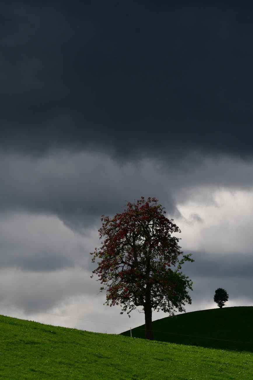 Gospel Reflection – October 25,&nbsp;2024