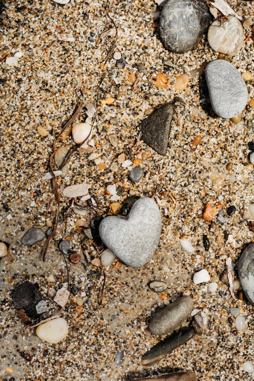 Gospel Reflection – February 18,&nbsp;2025