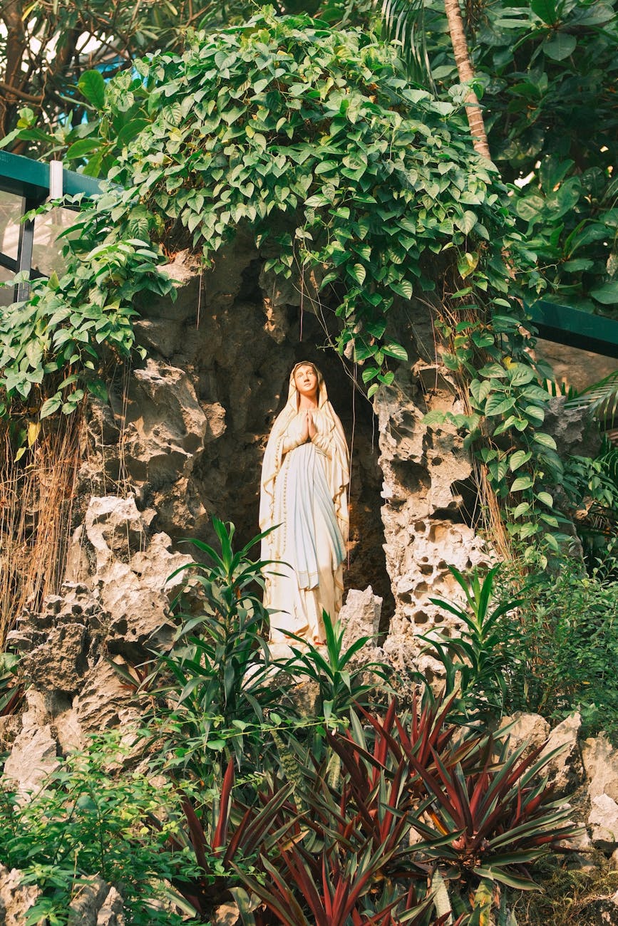 Gospel Reflection – February 11,&nbsp;2025