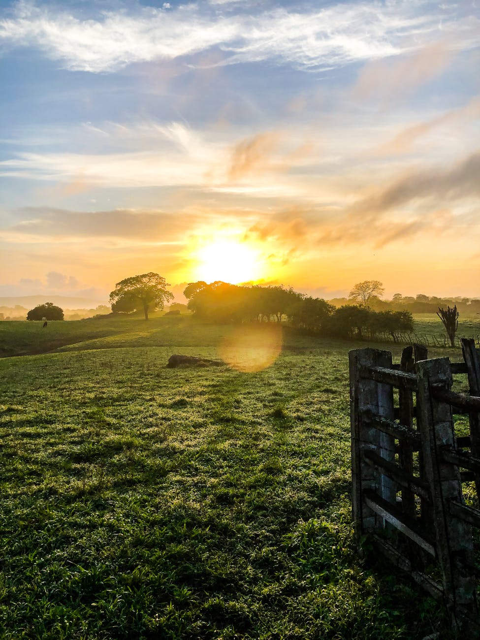 Gospel Reflection – April 19,&nbsp;2025