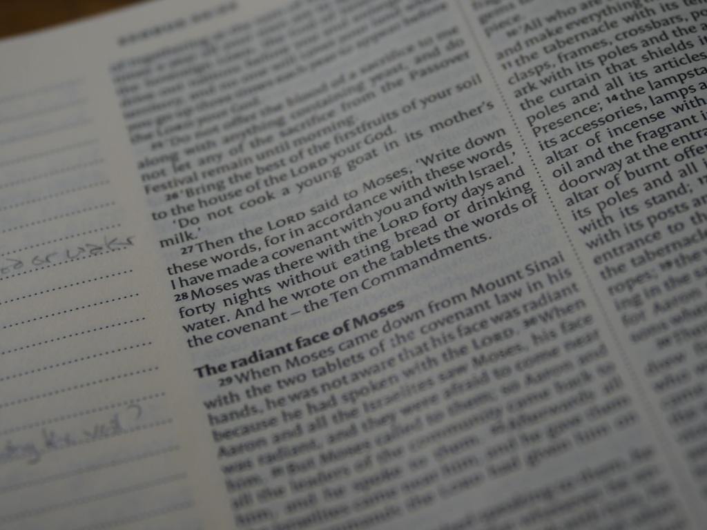 Gospel Reflection – June 11,&nbsp;2025