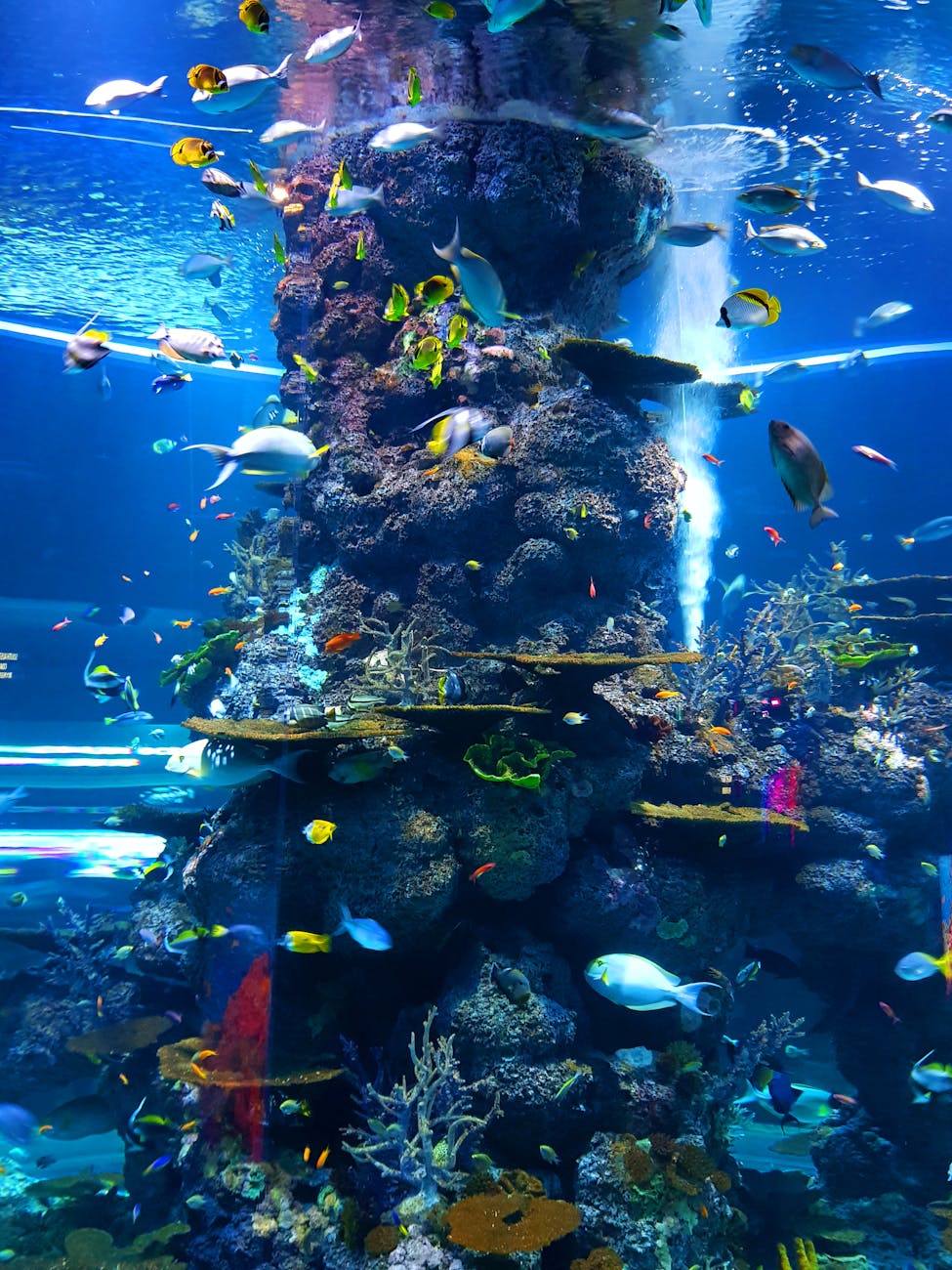 Gospel Reflection – July 31,&nbsp;2025