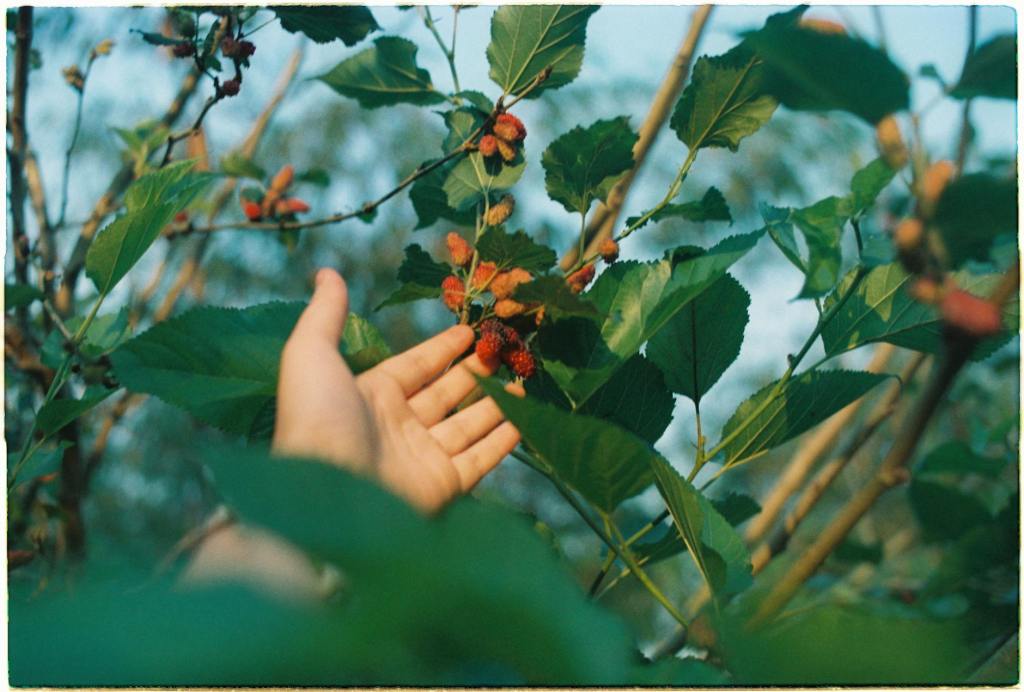 Gospel Reflection – October 5,&nbsp;2025