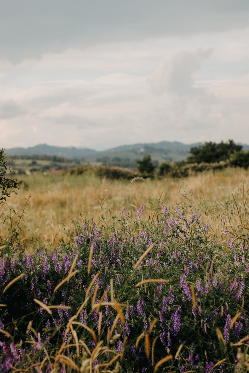 Gospel Reflection – January 27,&nbsp;2026