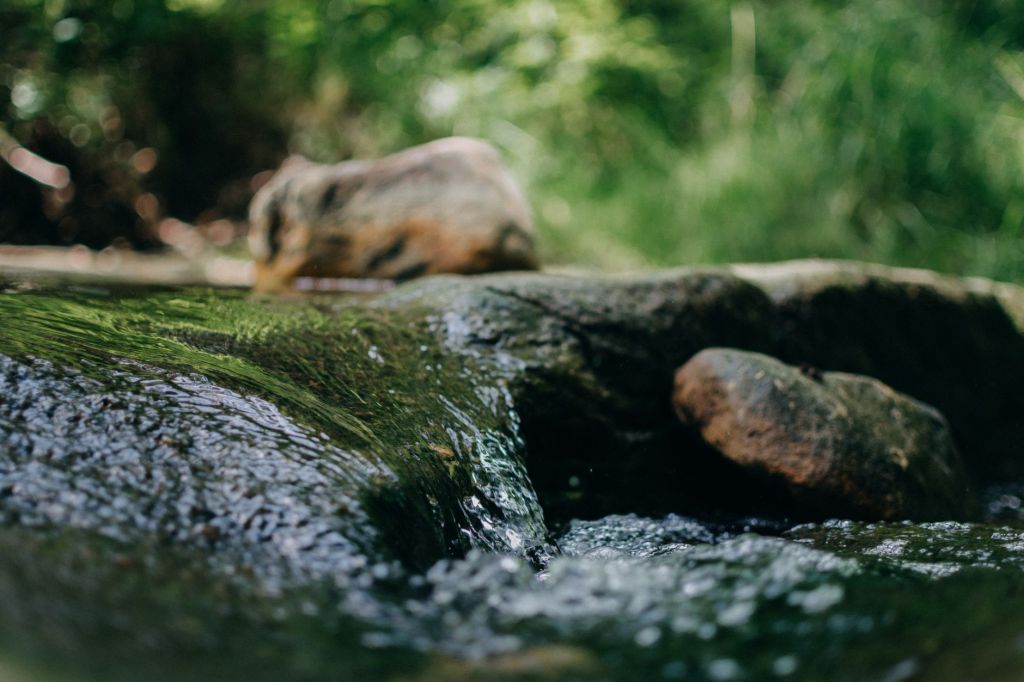 Gospel Reflection – July 18,&nbsp;2026